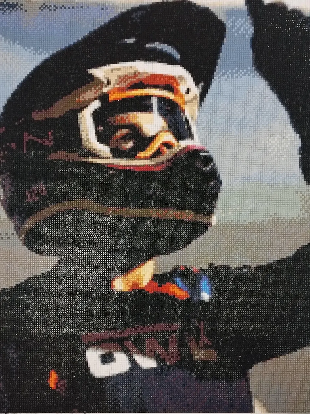 DIY Diamond Painting Adulti Delfino 30x40cm