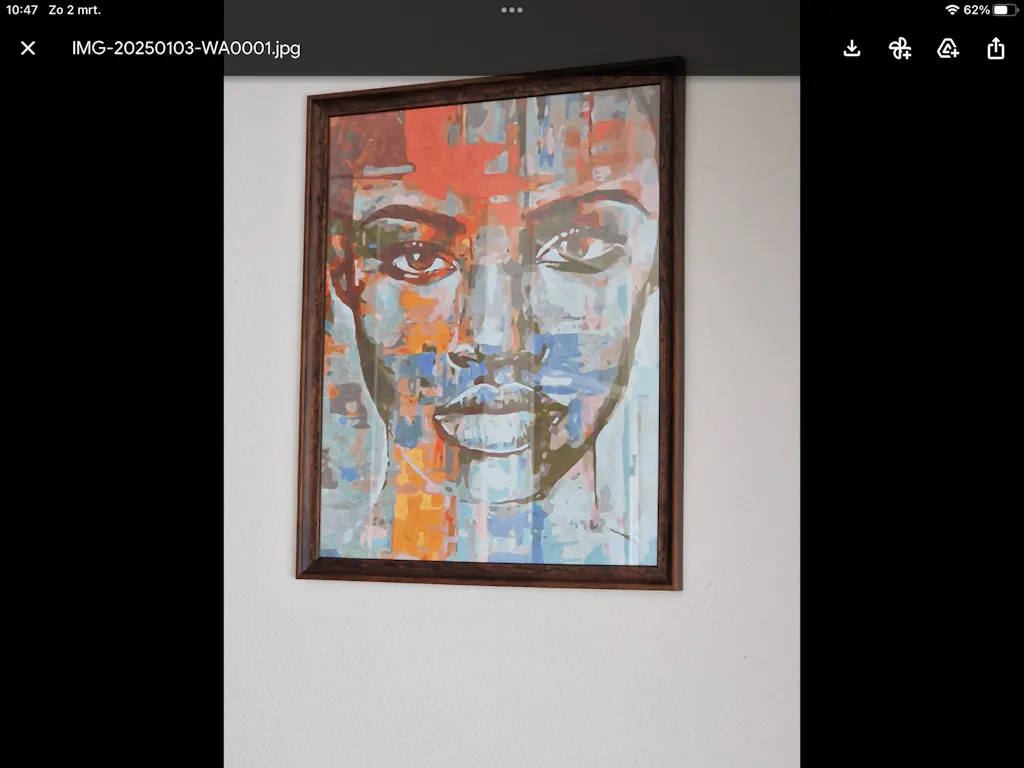Geen frame ballon diy olieverfschilderij op nummer