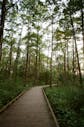 Film Developing