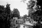 Film Developing