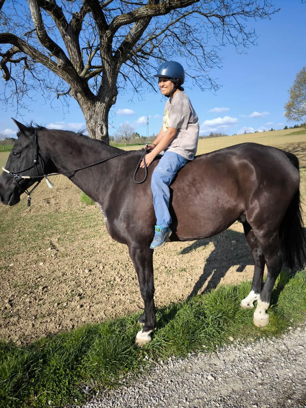 OSTWIND Zügel – 10mm