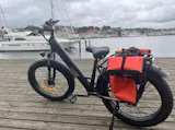 Finbike M60 Fat Tire Electric Bike 250W – Off-Road All-Terrain E-Bike