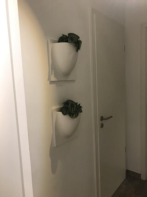 VertiPlants Wandgefäß aus pflanzlichen Materialien