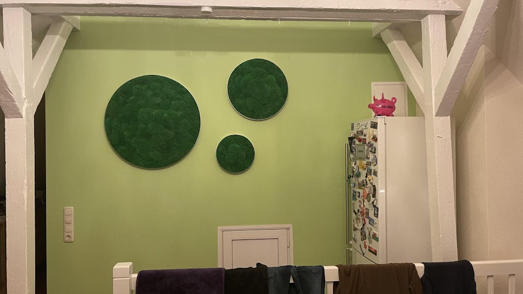 Moosbild ELLIPSOID Ballenmoos 3er Set