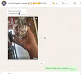User picture