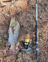 Lucana Full Swing Spinner Lure | 24g - Fishingmonk