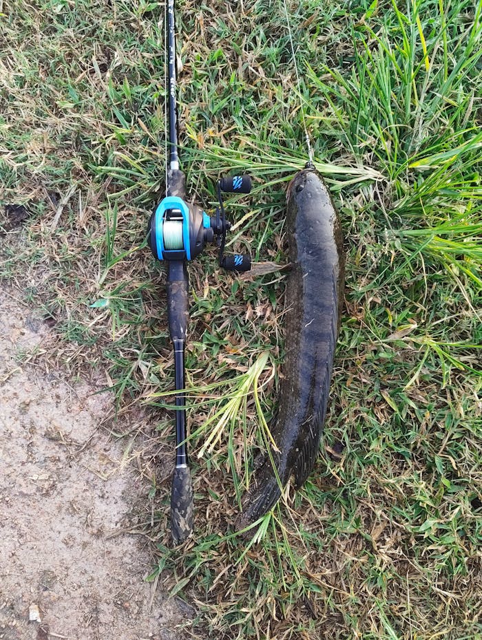 Okuma Serrano Baitcasting Reel | SRN-100H-A | SRN-101H-A |