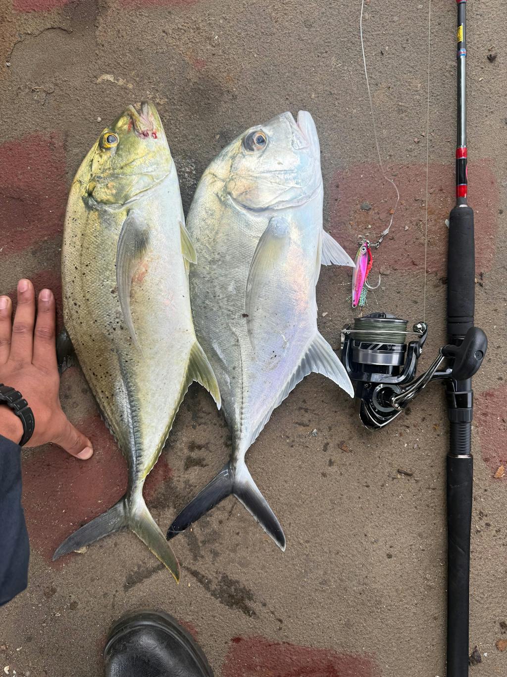 Murrvy Long Cast Metal Jig | Fast Sinking | 40 Gm | 50 Gm |