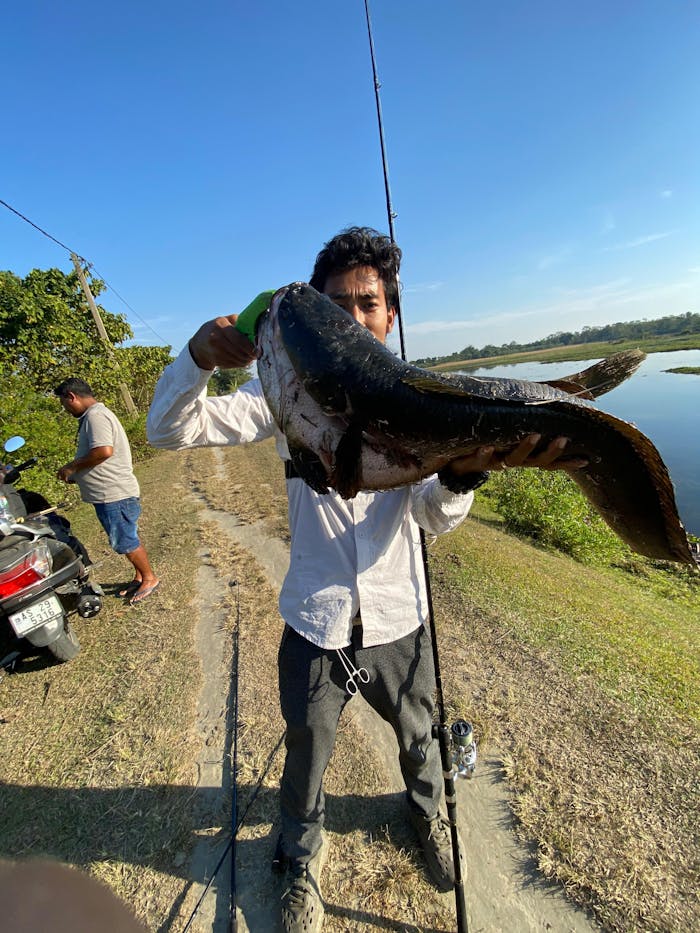 Pexxo Turtle Frog Handmade Soft Lure With Spinner | Floating | 6 Cm | 13-14 Gm |