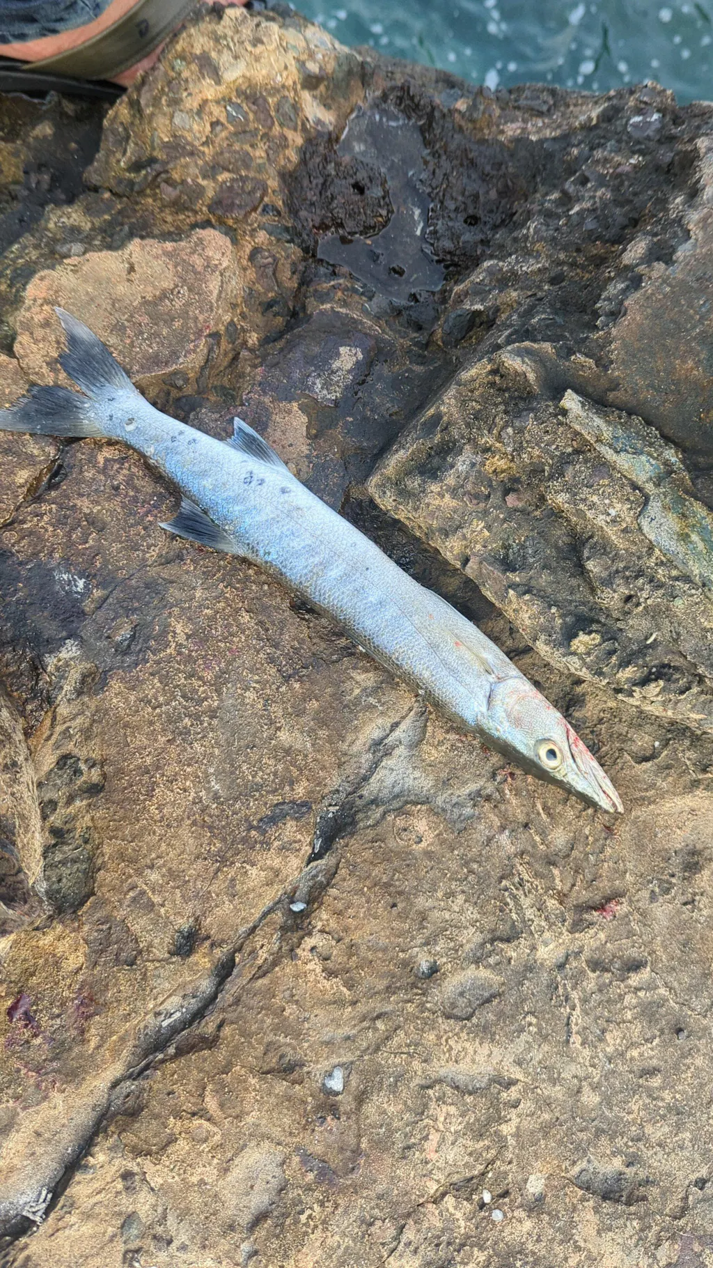 Lucana Pike 62 Floating Minnow | 6.2 Cm | 7 Gm | Floating