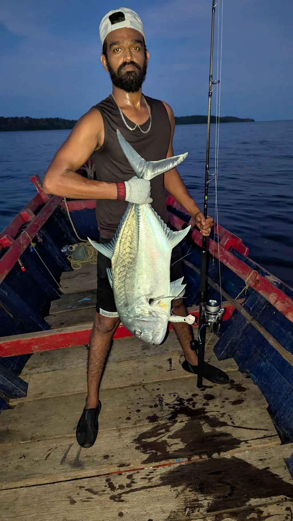 Halco Roosta Popper Hard Bait Topwater Lures | 16 Cm , 75 Gm | 19.5 Cm , 117 Gm | Floating