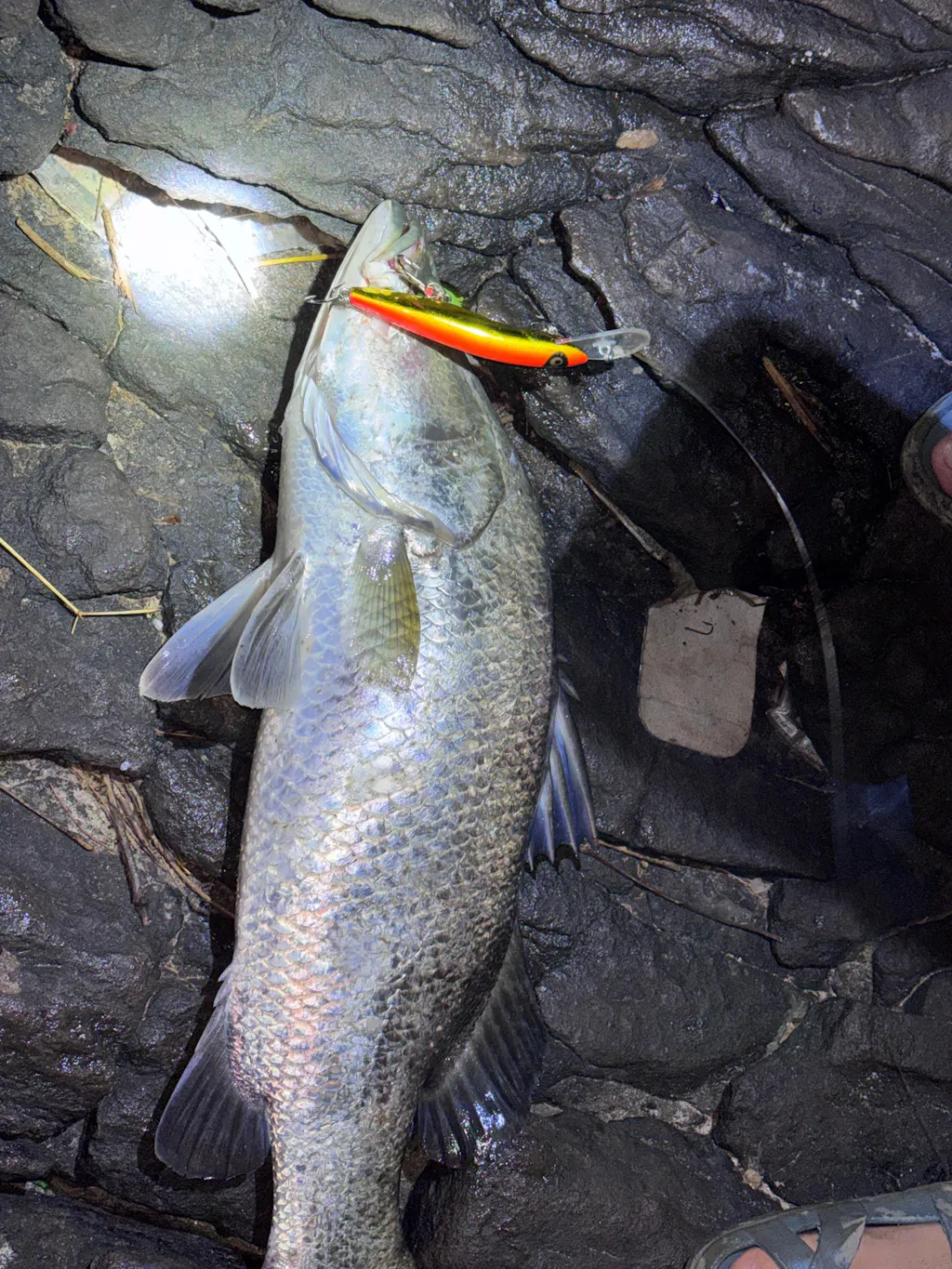 Halco Sorcerer Hardbait Lures | 15 Cm | 30 Gm | Floating | Trolling Lures