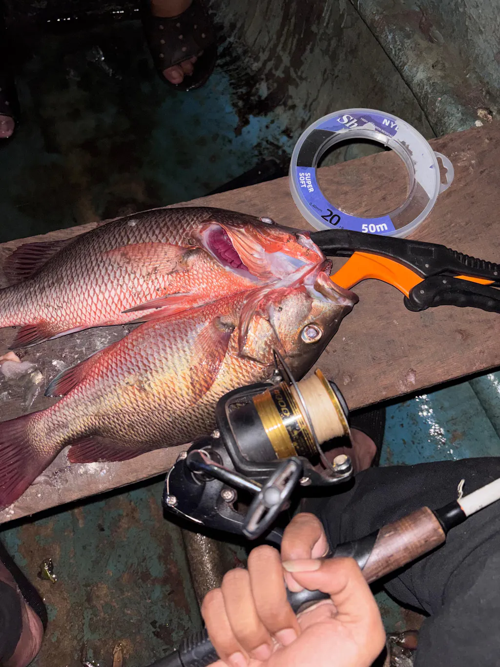 Shimano FX Spinning Reels | FX4000FC |