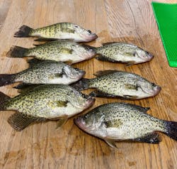 Lake Fork Fishing Hotspots