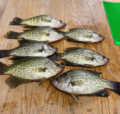 Lake Fork Fishing Hotspots