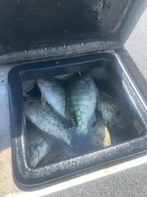 Lake Fork Fishing Hotspots