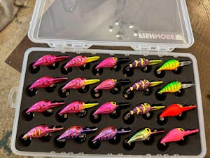 T3 Pro - Storm - Wiggle Wart