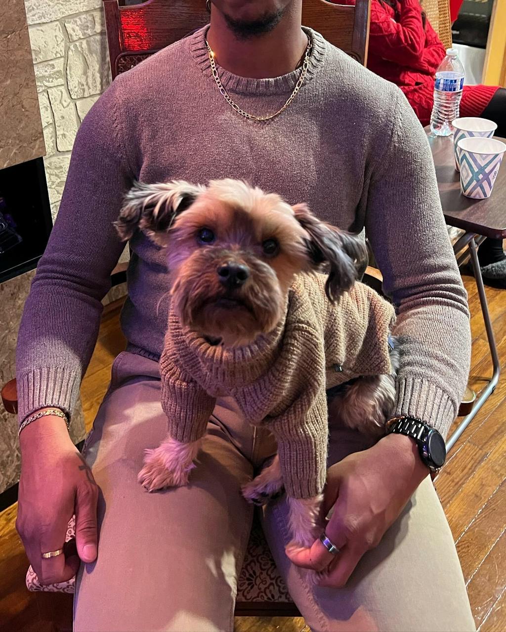 Turtleneck Knitted Dog Sweater - Fitwarm