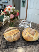 Denali - Freeze Dried Sourdough Starter