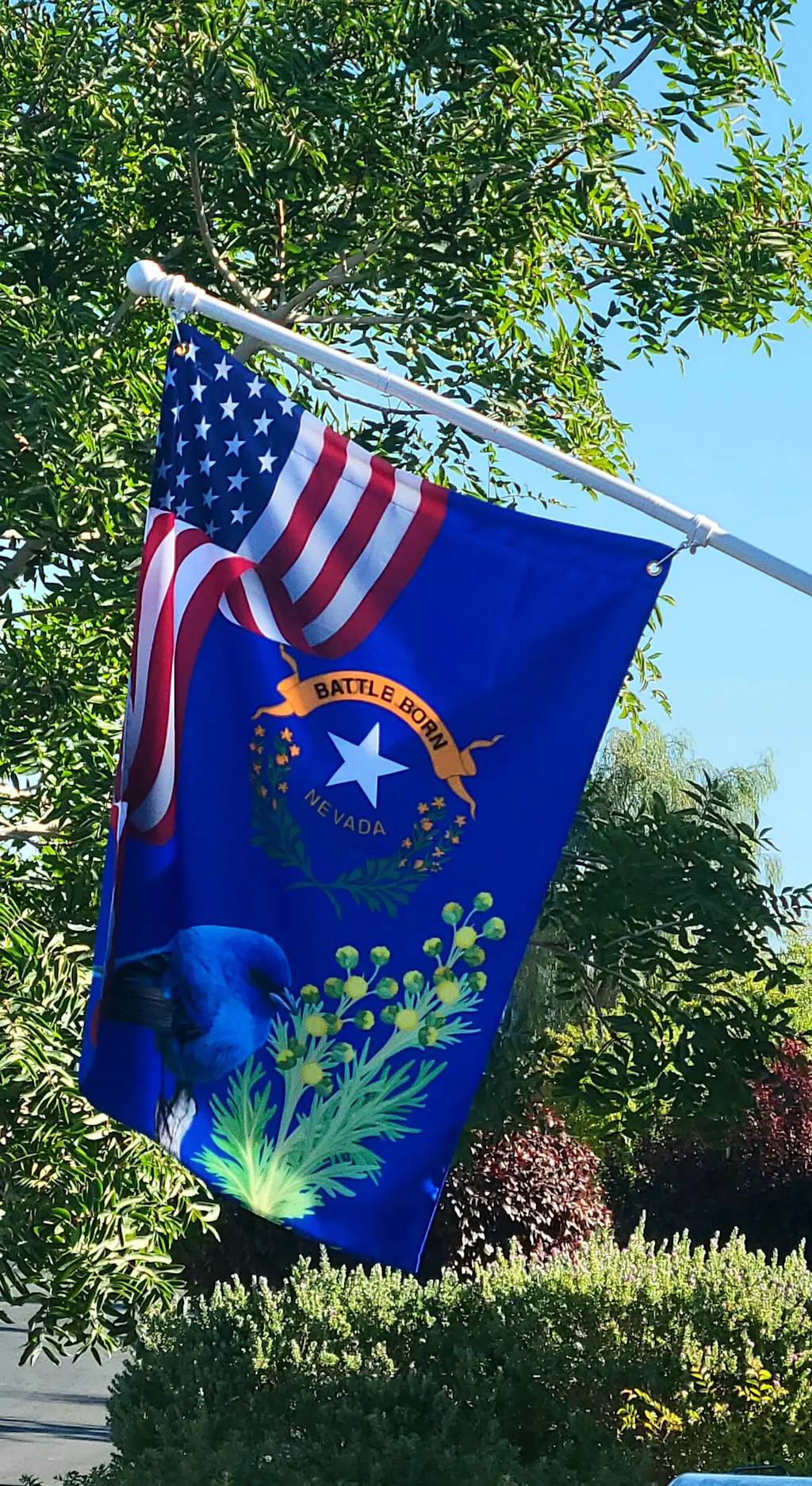 Happy Customers - Flagwix