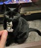 Bad Luck Club Black Cat Enamel Pin