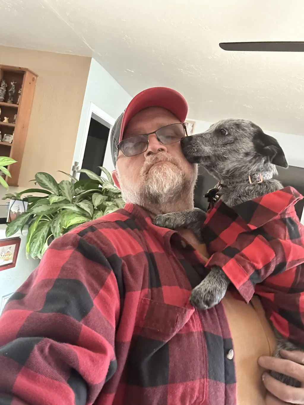 Picture of Family Matching Flannel Shirts for Dogs – FlannelGo