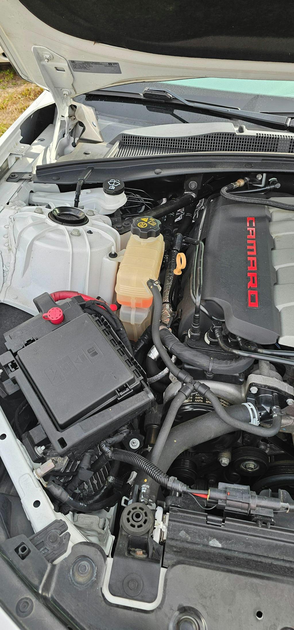 2016-2024 Chevrolet Camaro Aluminum Coolant Reservoir (Degas)