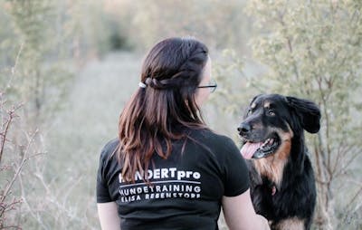 Frauen Premium T-Shirt - Hundetraining