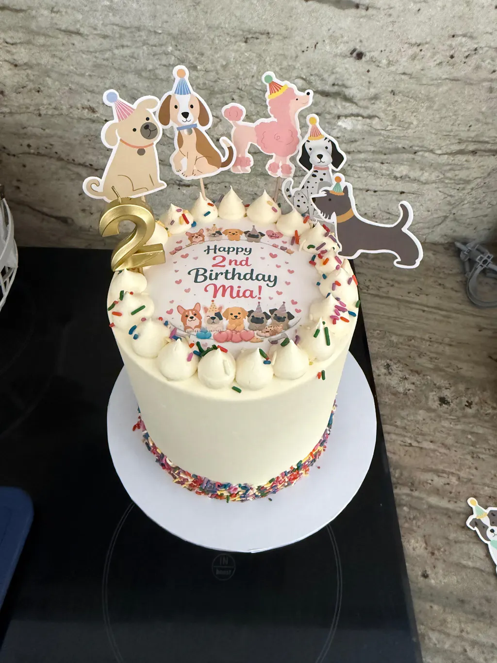 Vanilla Rainbow Photo Cake