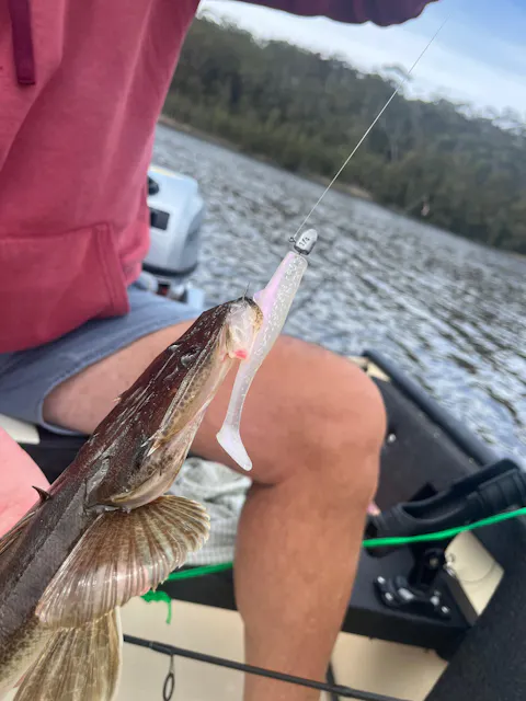 FTP BLAZE PADDLE TAIL SOFT PLASTIC - REAPER