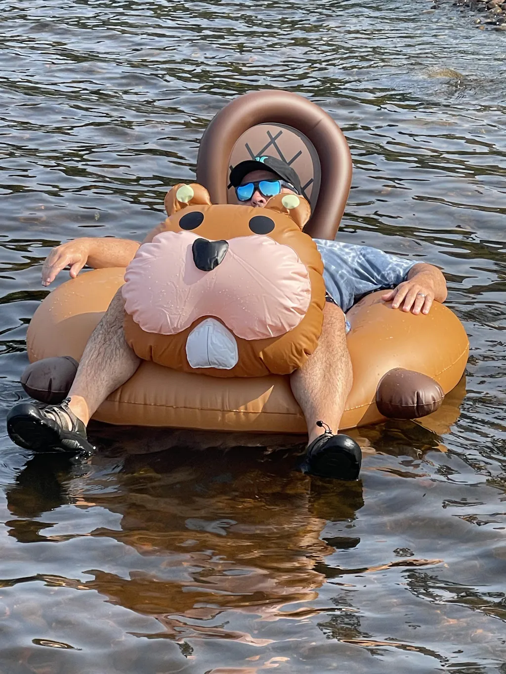 The Beaver - Adult Swimming Pool Float | Swimming Pool Floats Canada