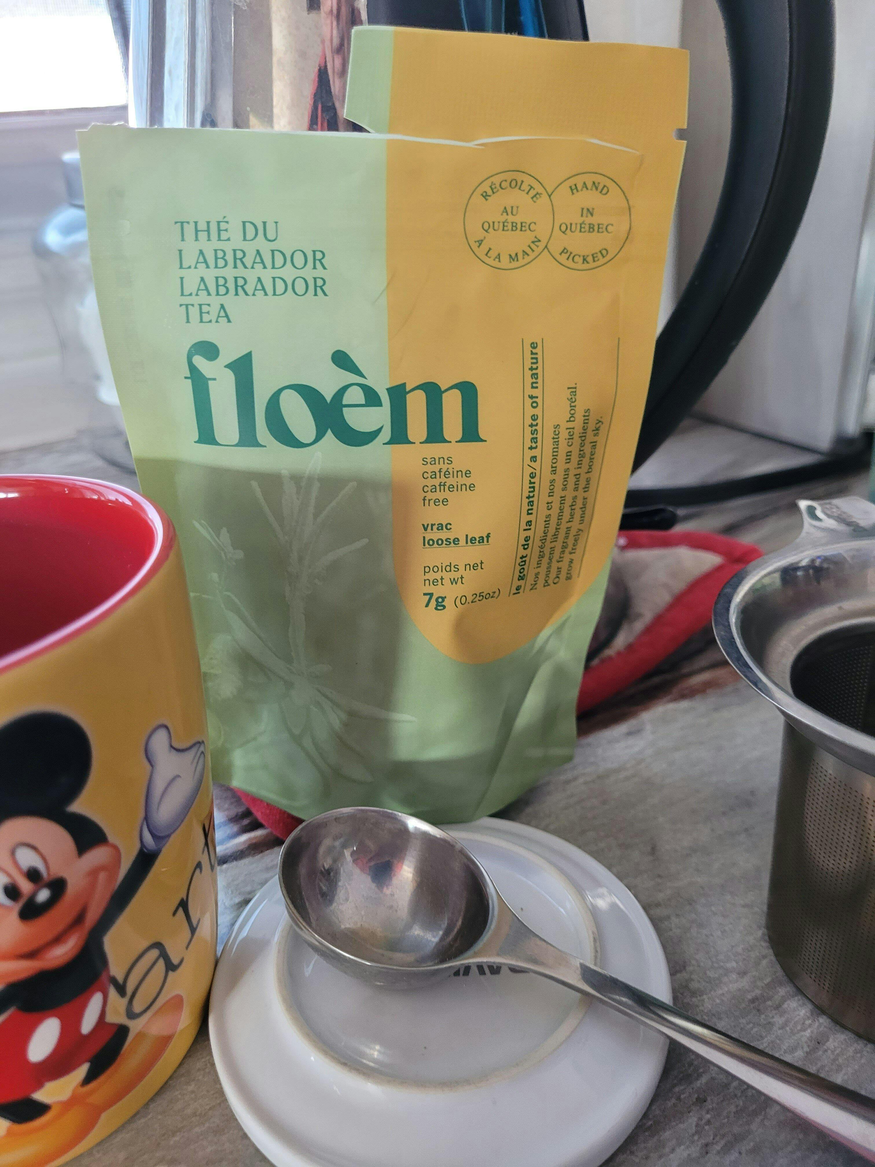 Labrador Tea - The Labrador | Buy online | Floèm