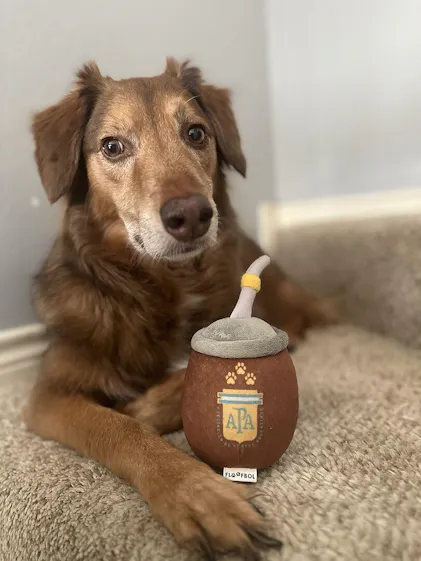Yerba Mate Dog Toy – Unique Soccer Gifts for Pet-Loving Fans