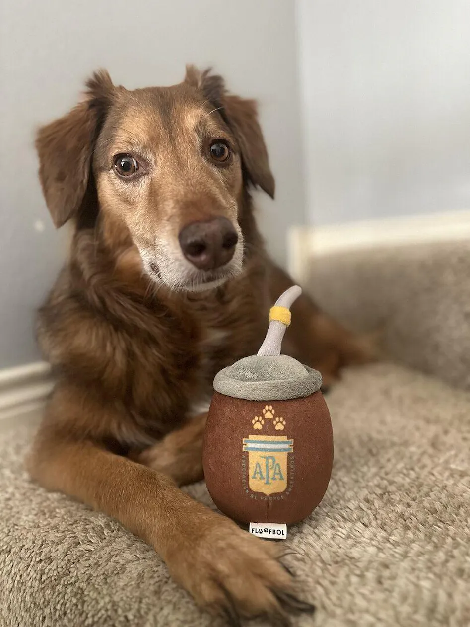 Yerba Mate Dog Toy – Unique Soccer Gifts for Pet-Loving Fans