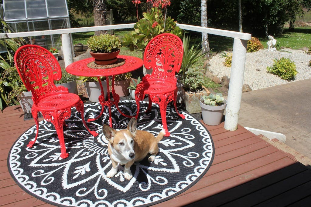 Outdoor Rug Recycled Plastic Benaras 180cm Round Floorsome