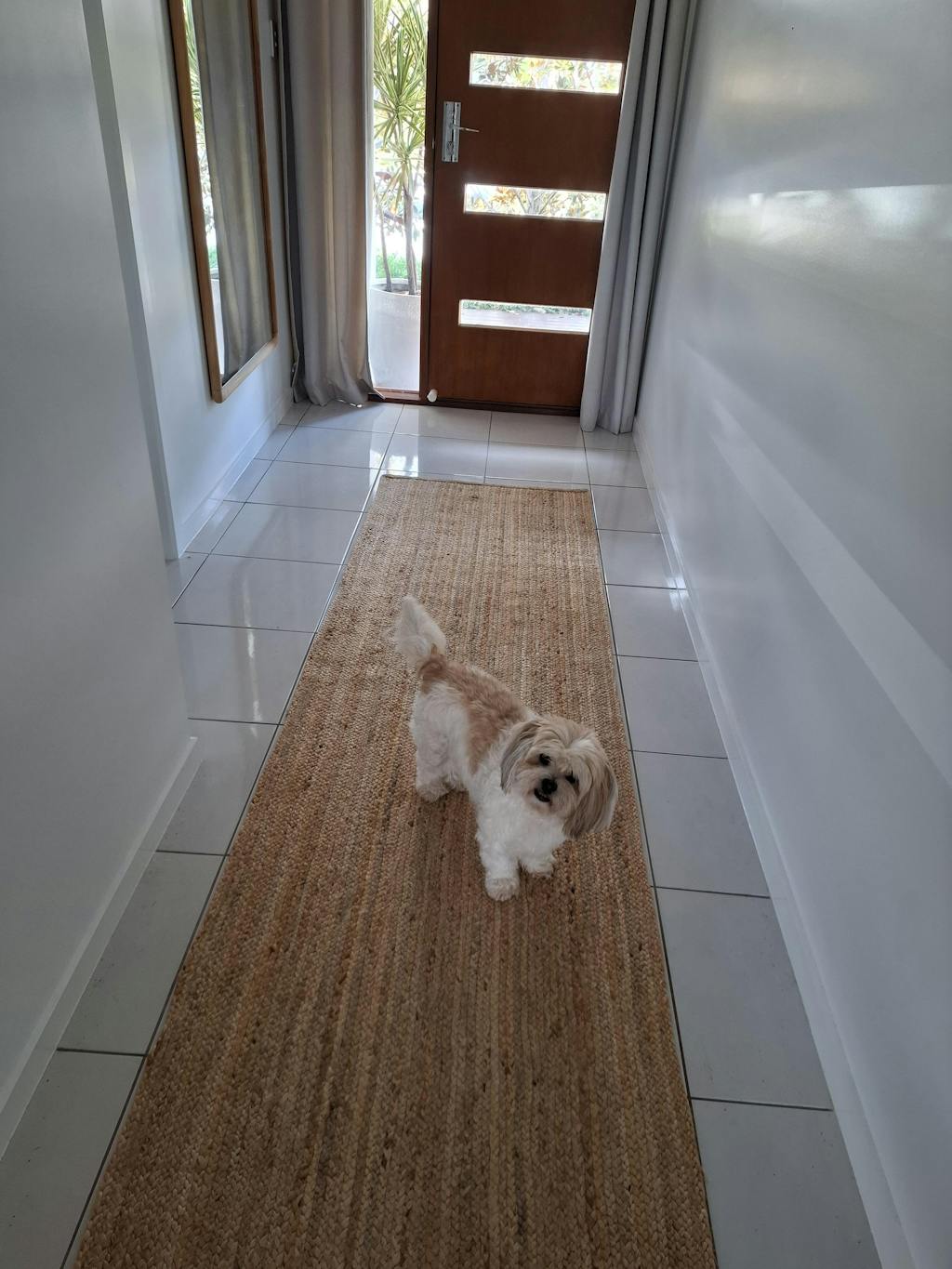 Bondi Natural Runner Rug