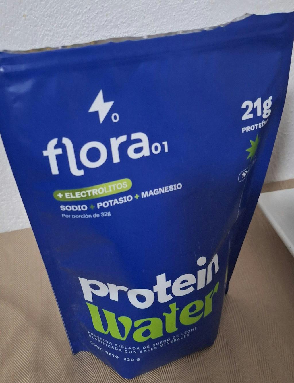 PROTEIN WATER