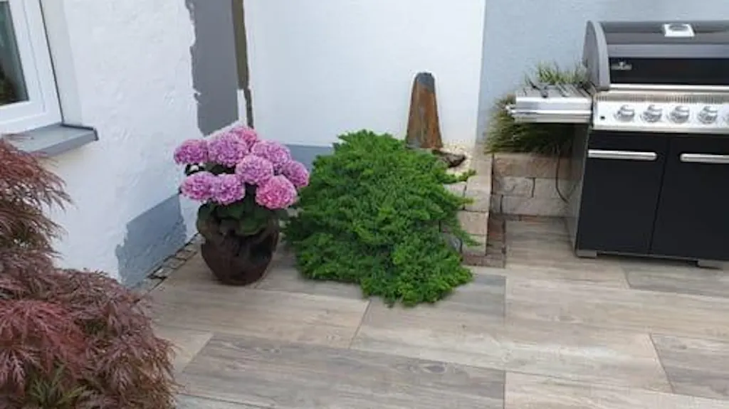 Koniferen Dnger von Flora Boost | 200L Ergiebigkeit | Fr Thuja & Tannen | Flora  Boost | Reviews on Judge.me