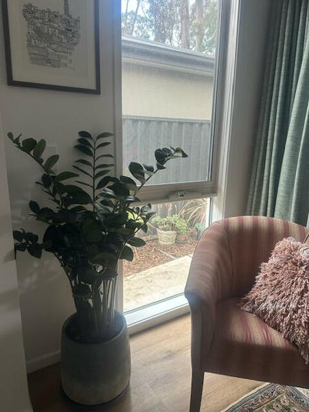 Zanzibar Gem Green 122cm