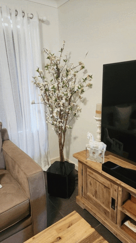 Cherry Blossom Tree 180cm