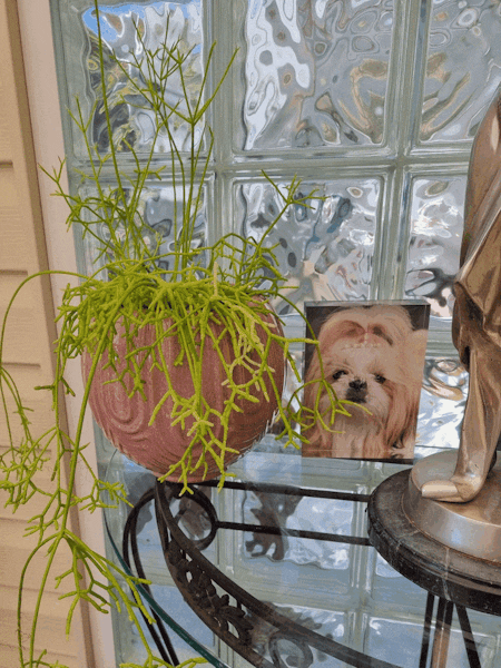 Laurela Pot 20cm Pink Set of 2