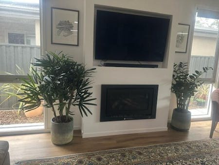 Rhapis Palm Tree Thin Leaf 120cm