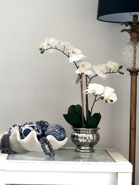 Orchid Plant White In Silver Bowl 60cm