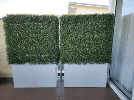 Mixed Boxwood Hedge UV Resistant 100cm Long x 100cm High