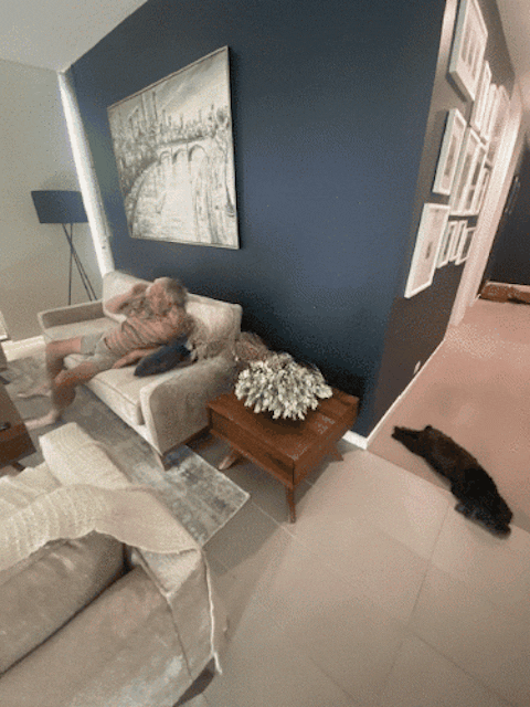 Ruscus Bush Grey White 40cm Pack of 12