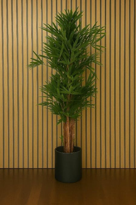 Rhapis Palm Tree Thin Leaf 200cm