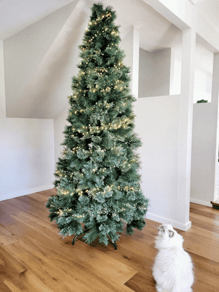 Christmas Tree Pine Alaskan Green 240cm