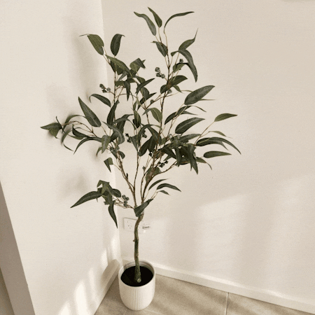 Eucalyptus Seed Tree Grey Green 120cm Set of 2