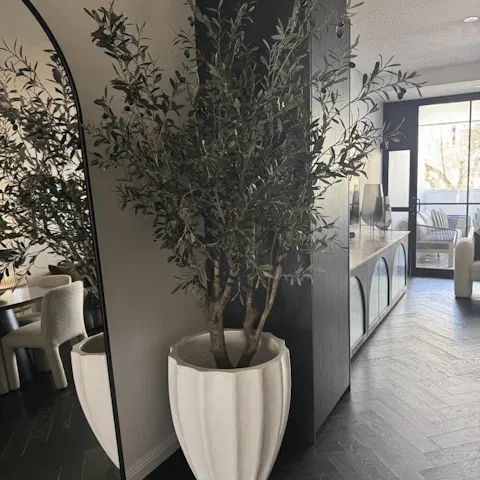 Olive Green Tree 225cm