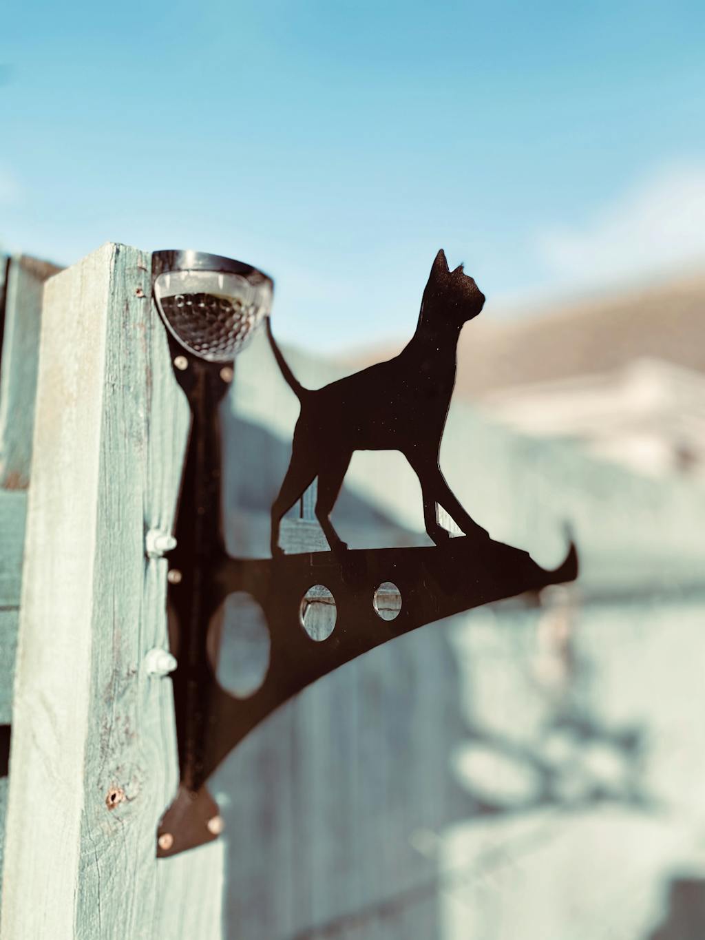 Large Cat Hanging Basket Brackets with Solar LED Light Flory's Online